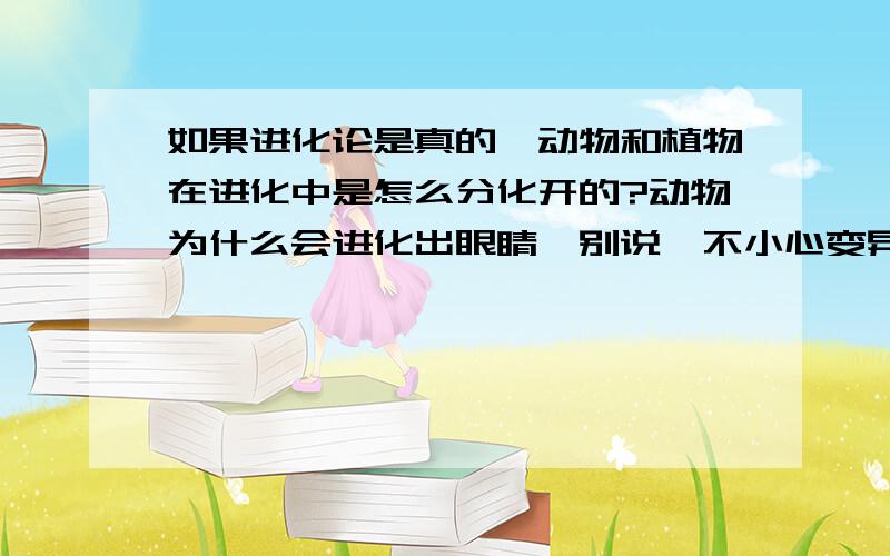 如果进化论是真的,动物和植物在进化中是怎么分化开的?动物为什么会进化出眼睛,别说一不小心变异了就有眼睛了...