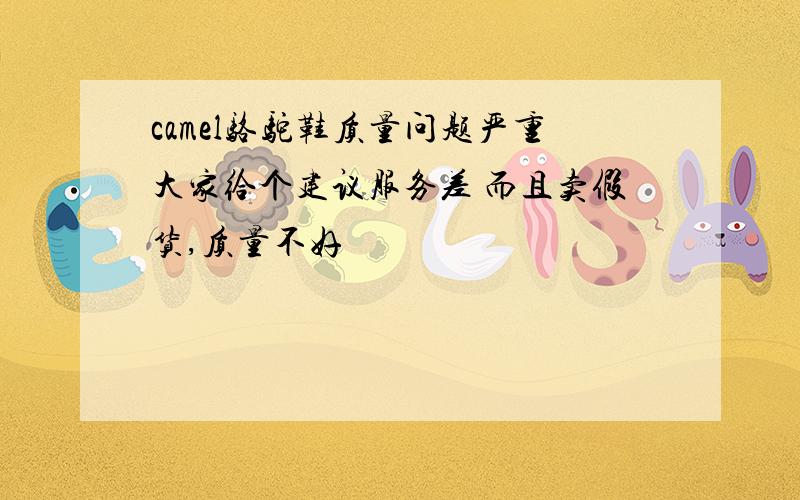 camel骆驼鞋质量问题严重大家给个建议服务差 而且卖假货,质量不好