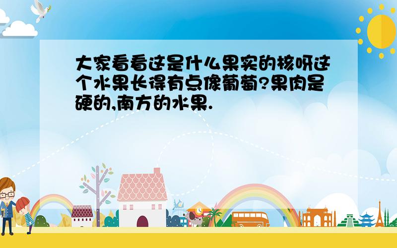 大家看看这是什么果实的核呀这个水果长得有点像葡萄?果肉是硬的,南方的水果.