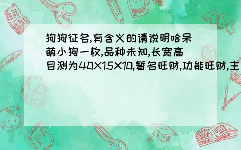 狗狗征名,有含义的请说明哈呆萌小狗一枚,品种未知,长宽高目测为40X15X10,暂名旺财,功能旺财,主职为星角度互联传媒安保主任兼招商融资顾问.现为符合我大安保主任一职高大上气质,特求高大