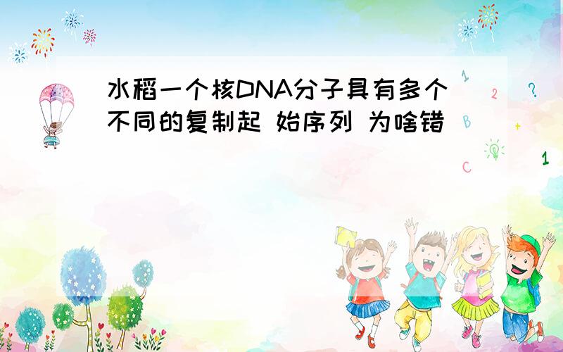 水稻一个核DNA分子具有多个不同的复制起 始序列 为啥错