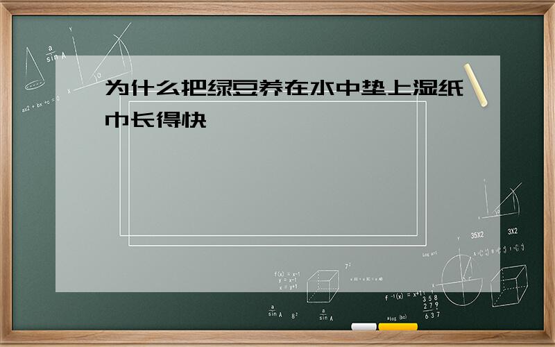 为什么把绿豆养在水中垫上湿纸巾长得快