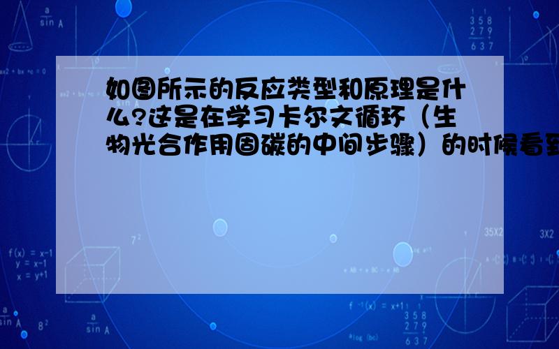 如图所示的反应类型和原理是什么?这是在学习卡尔文循环（生物光合作用固碳的中间步骤）的时候看到的反应两个反应都很相似地由醛基和羟基反应,使碳链直接连接在一起.开始我还以为是