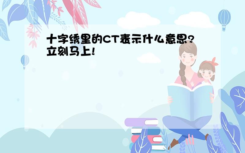 十字绣里的CT表示什么意思?立刻马上!