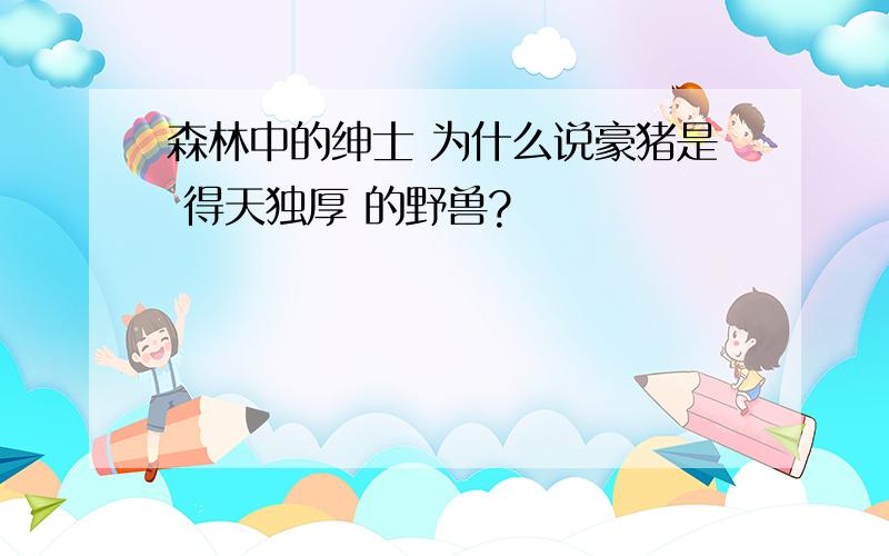 森林中的绅士 为什么说豪猪是 得天独厚 的野兽?