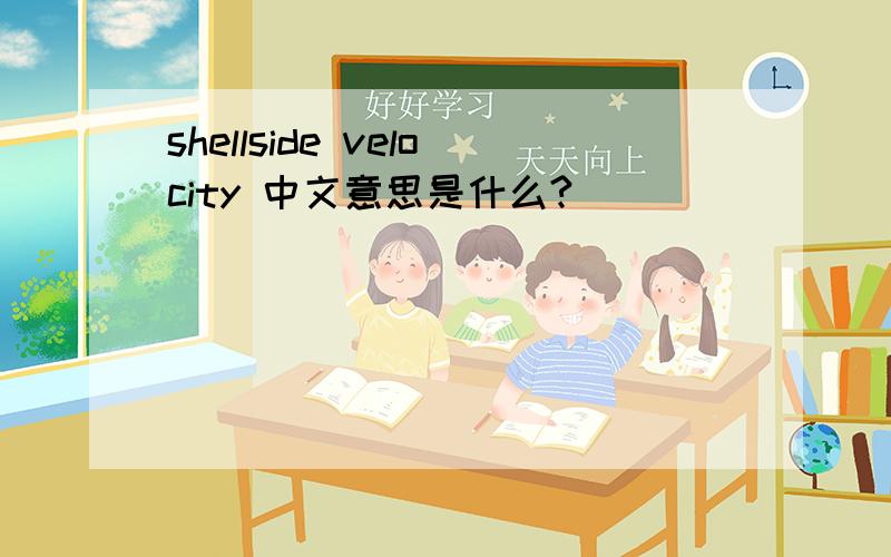 shellside velocity 中文意思是什么?