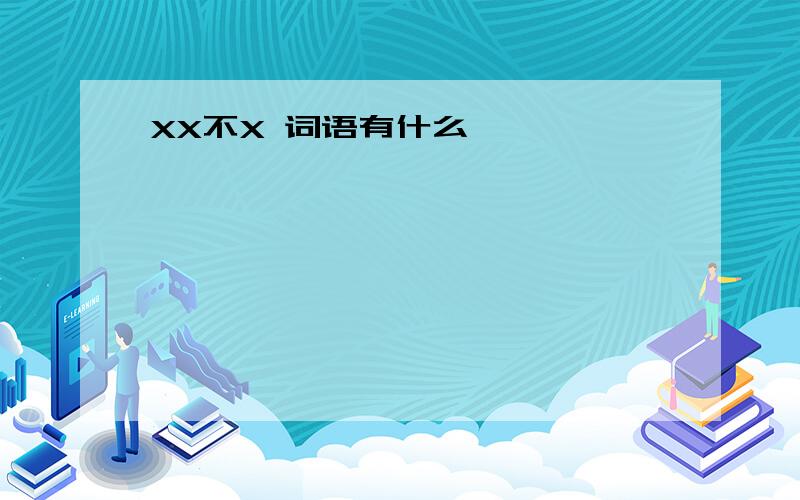 XX不X 词语有什么