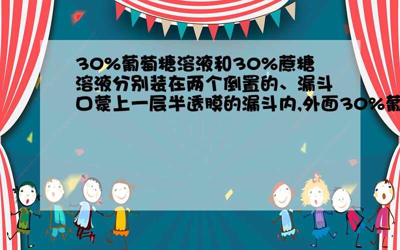 30%葡萄糖溶液和30%蔗糖溶液分别装在两个倒置的、漏斗口蒙上一层半透膜的漏斗内,外面30%葡萄糖溶液和30%蔗糖溶液分别装在两个倒置的、漏斗口蒙上一层半透膜的漏斗内,外面是装清水的烧