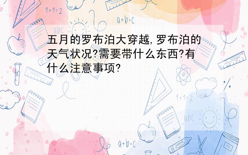 五月的罗布泊大穿越,罗布泊的天气状况?需要带什么东西?有什么注意事项?