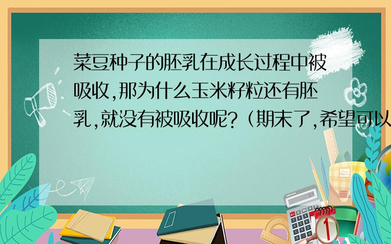 菜豆种子的胚乳在成长过程中被吸收,那为什么玉米籽粒还有胚乳,就没有被吸收呢?（期末了,希望可以快点回答）