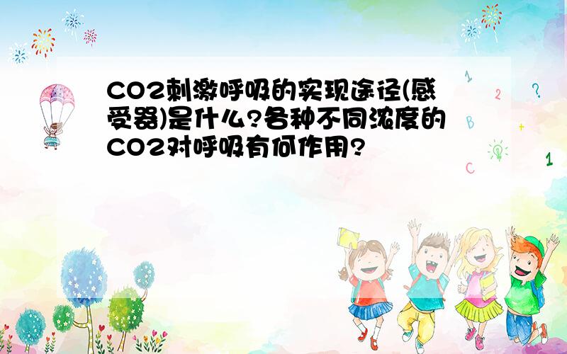 CO2刺激呼吸的实现途径(感受器)是什么?各种不同浓度的CO2对呼吸有何作用?