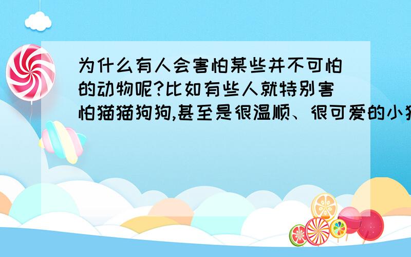 为什么有人会害怕某些并不可怕的动物呢?比如有些人就特别害怕猫猫狗狗,甚至是很温顺、很可爱的小猫小狗都会怕,出门遇到遛狗的,离开远远的就会绕着走.而大部分人（应该是大部分人吧