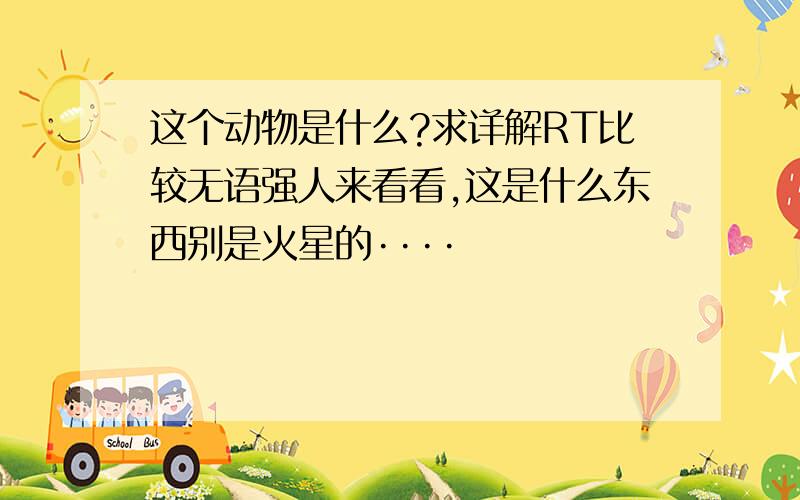 这个动物是什么?求详解RT比较无语强人来看看,这是什么东西别是火星的····