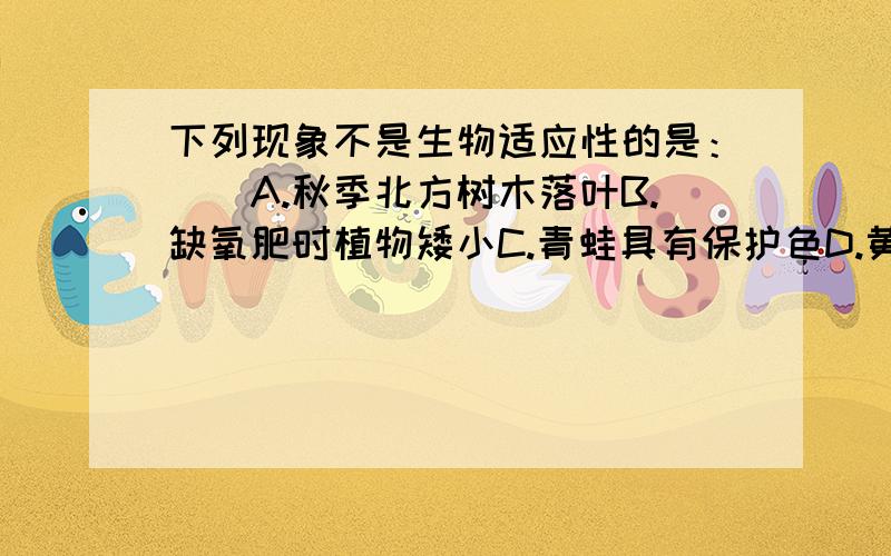 下列现象不是生物适应性的是：（）A.秋季北方树木落叶B.缺氧肥时植物矮小C.青蛙具有保护色D.黄羊与遇到狼快速逃命