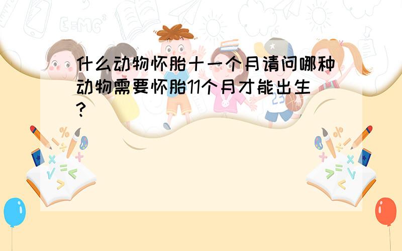 什么动物怀胎十一个月请问哪种动物需要怀胎11个月才能出生?