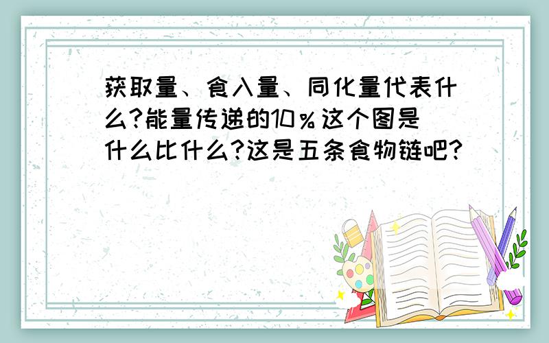 获取量、食入量、同化量代表什么?能量传递的10％这个图是什么比什么?这是五条食物链吧?