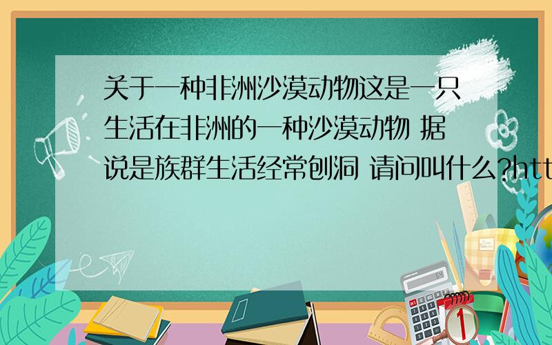 关于一种非洲沙漠动物这是一只生活在非洲的一种沙漠动物 据说是族群生活经常刨洞 请问叫什么?http://image.baidu.com/i?ct=503316480&z=0&tn=baiduimagedetail&word=%B7%C7%D6%DE%C9%B3%C4%AE%B6%AF%CE%EF&in=16065&cl=2&cm=