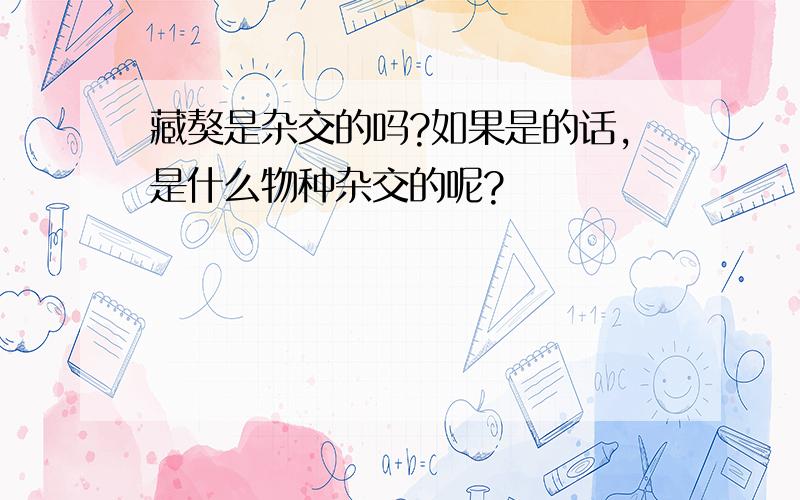 藏獒是杂交的吗?如果是的话,是什么物种杂交的呢?