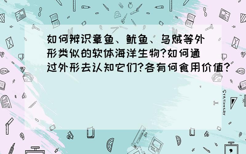 如何辨识章鱼、鱿鱼、乌贼等外形类似的软体海洋生物?如何通过外形去认知它们?各有何食用价值?