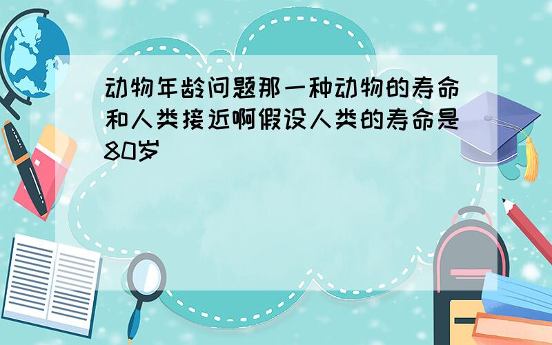 动物年龄问题那一种动物的寿命和人类接近啊假设人类的寿命是80岁