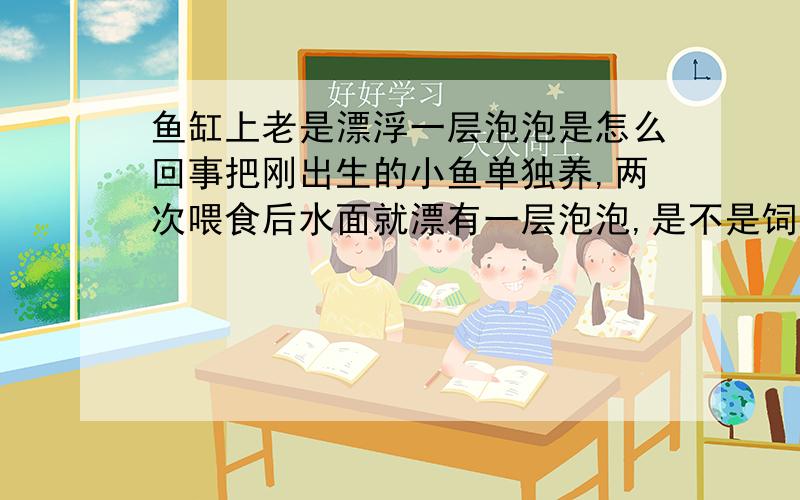 鱼缸上老是漂浮一层泡泡是怎么回事把刚出生的小鱼单独养,两次喂食后水面就漂有一层泡泡,是不是饲料溶解在水中的缘故?要怎么清除?