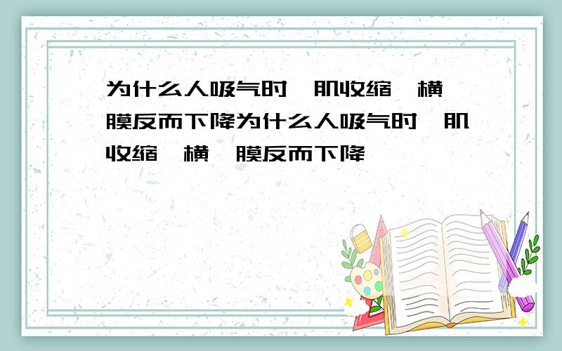 为什么人吸气时膈肌收缩,横膈膜反而下降为什么人吸气时膈肌收缩,横膈膜反而下降