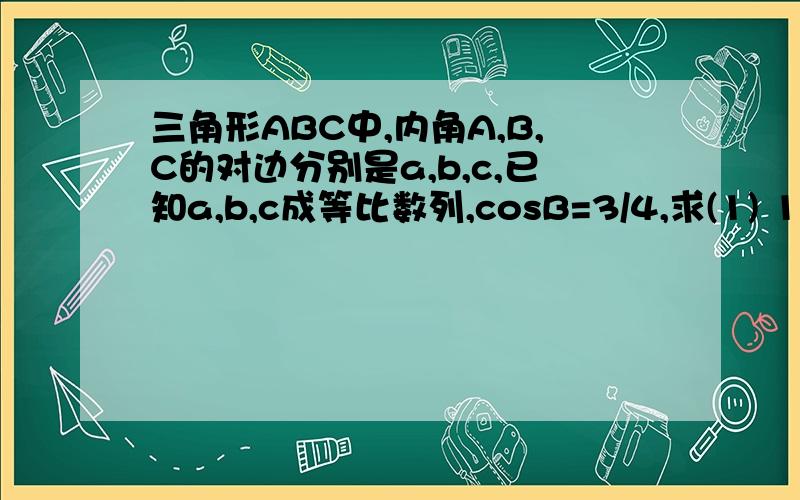 三角形ABC中,内角A,B,C的对边分别是a,b,c,已知a,b,c成等比数列,cosB=3/4,求(1) 1/tanA+1/tanC的值.(2)设向