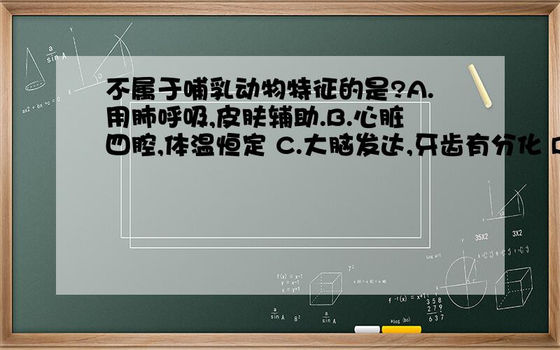 不属于哺乳动物特征的是?A.用肺呼吸,皮肤辅助.B.心脏四腔,体温恒定 C.大脑发达,牙齿有分化 D.提表被