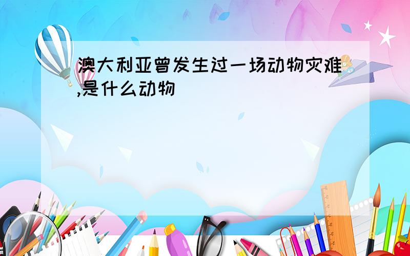 澳大利亚曾发生过一场动物灾难,是什么动物