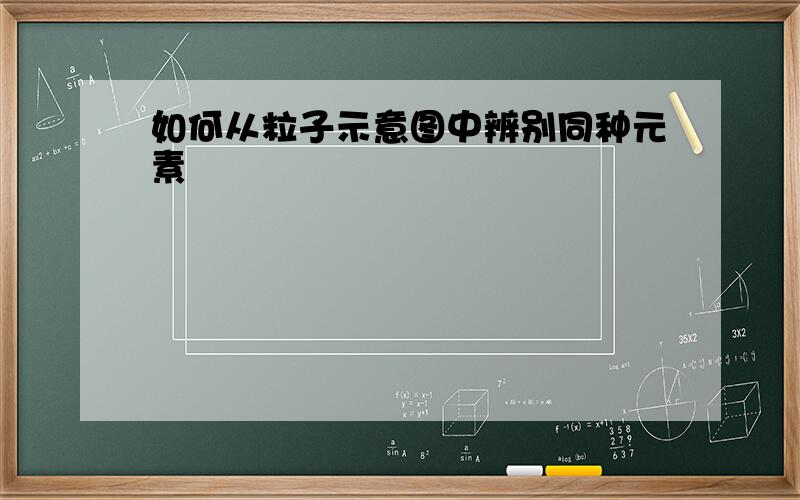 如何从粒子示意图中辨别同种元素