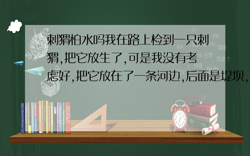 刺猬怕水吗我在路上检到一只刺猬,把它放生了,可是我没有考虑好,把它放在了一条河边,后面是堤坝,所以万一发大水它无路可退,而我们这里随时会发大水,把那片地淹没.怎么办啊,请问:我是不