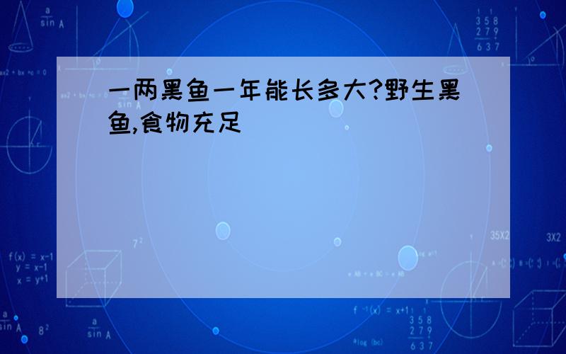 一两黑鱼一年能长多大?野生黑鱼,食物充足