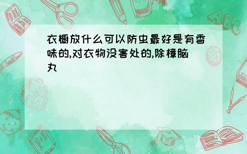 衣橱放什么可以防虫最好是有香味的,对衣物没害处的,除樟脑丸