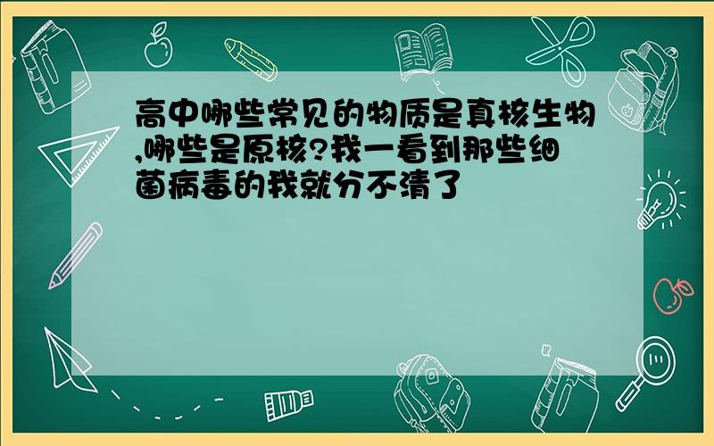 高中哪些常见的物质是真核生物,哪些是原核?我一看到那些细菌病毒的我就分不清了