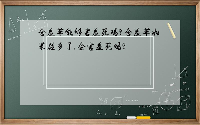 含羞草能够害羞死吗?含羞草如果碰多了,会害羞死吗?