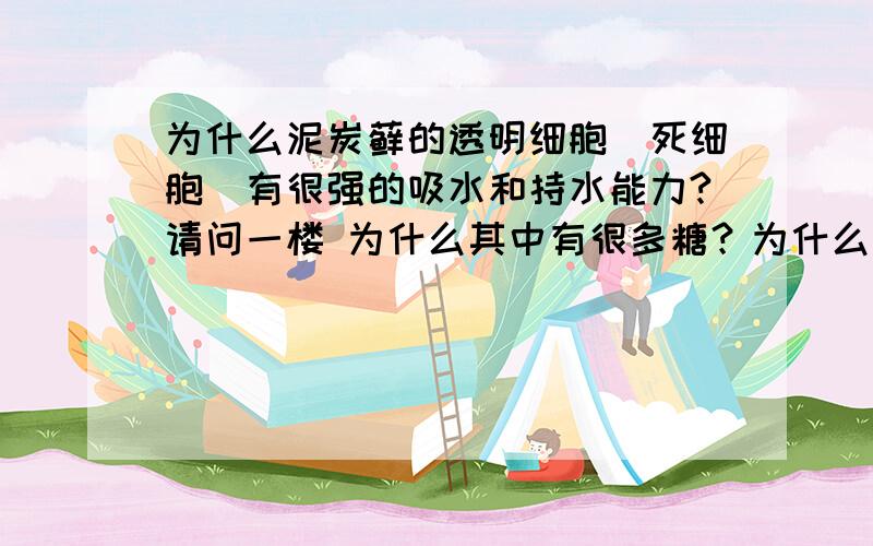 为什么泥炭藓的透明细胞（死细胞）有很强的吸水和持水能力?请问一楼 为什么其中有很多糖？为什么糖是亲水性物质？为什么琼脂一点点就可以固化那么大一杯水？