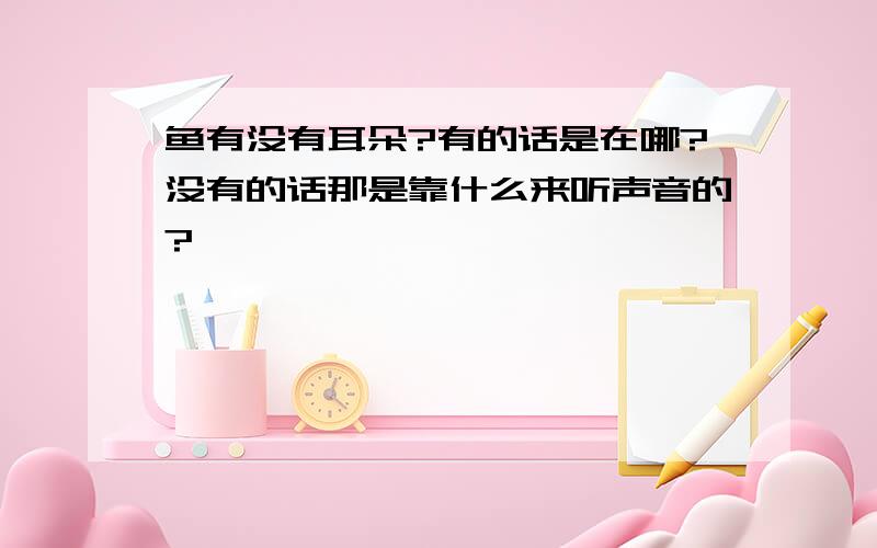 鱼有没有耳朵?有的话是在哪?没有的话那是靠什么来听声音的?