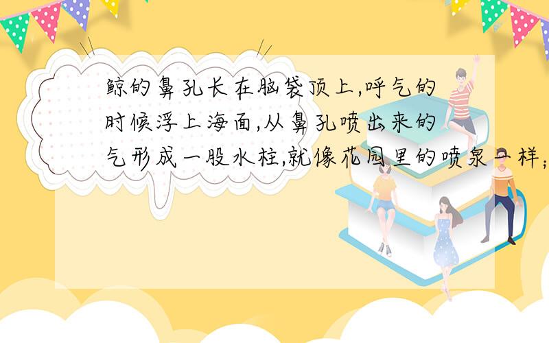 鲸的鼻孔长在脑袋顶上,呼气的时候浮上海面,从鼻孔喷出来的气形成一股水柱,就像花园里的喷泉一样；等肺里吸足了气,再潜入水中.这里运用了什么的说明方法.这样写的好处是什么