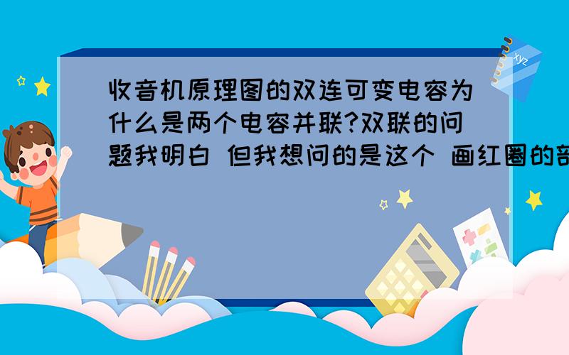 收音机原理图的双连可变电容为什么是两个电容并联?双联的问题我明白 但我想问的是这个 画红圈的部分这个微调电容是干什么用的?