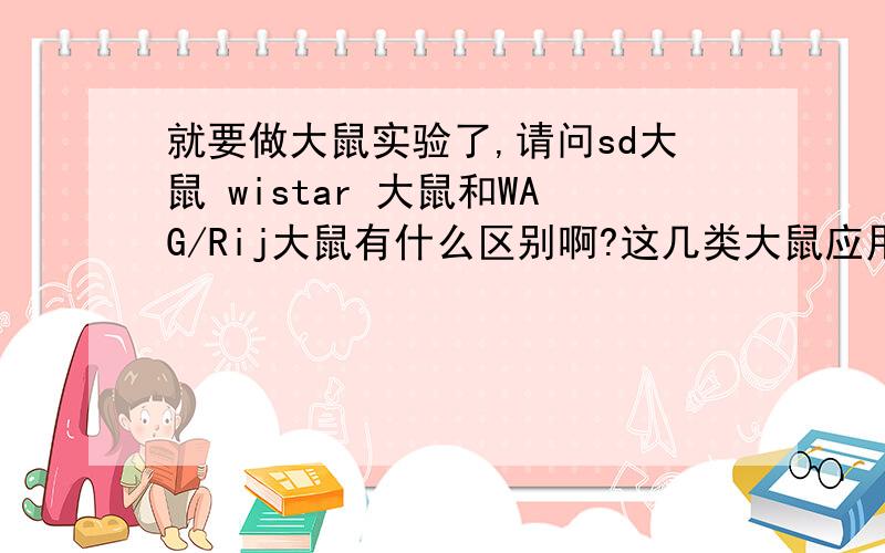 就要做大鼠实验了,请问sd大鼠 wistar 大鼠和WAG/Rij大鼠有什么区别啊?这几类大鼠应用于实验各有什么优缺点啊？