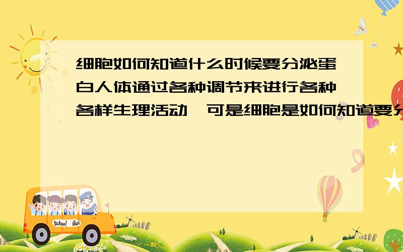 细胞如何知道什么时候要分泌蛋白人体通过各种调节来进行各种各样生理活动,可是细胞是如何知道要分泌出激素来调节的,我说的是不经过神经调节的,比如分泌生长素,使人增高,生长,这是不