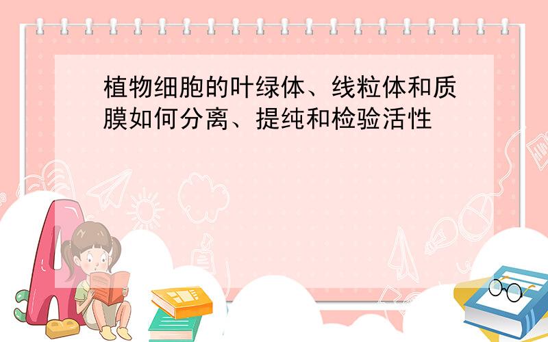 植物细胞的叶绿体、线粒体和质膜如何分离、提纯和检验活性