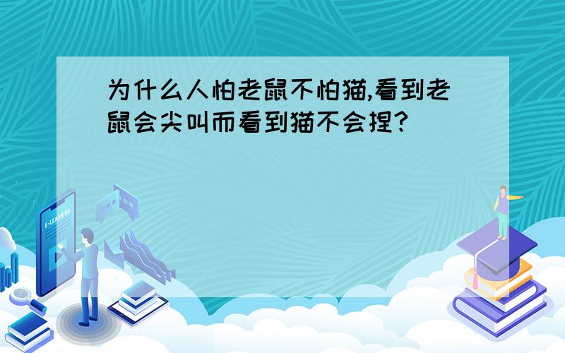 为什么人怕老鼠不怕猫,看到老鼠会尖叫而看到猫不会捏?