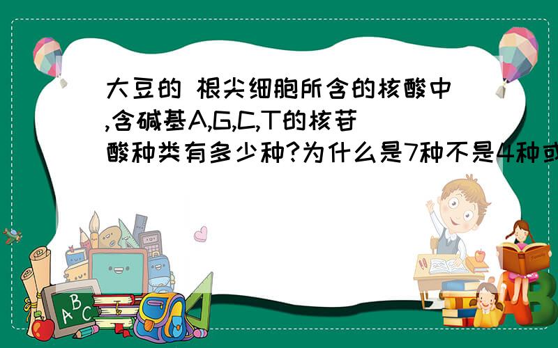 大豆的 根尖细胞所含的核酸中,含碱基A,G,C,T的核苷酸种类有多少种?为什么是7种不是4种或其它.