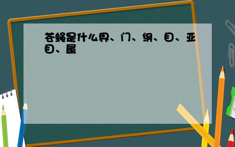 苍蝇是什么界、门、纲、目、亚目、属