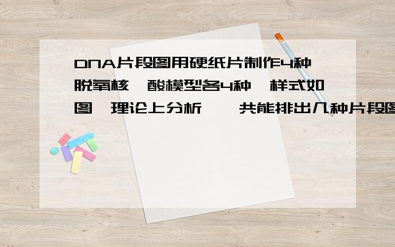 DNA片段图用硬纸片制作4种脱氧核苷酸模型各4种,样式如图,理论上分析,一共能排出几种片段图?（要带思路的）