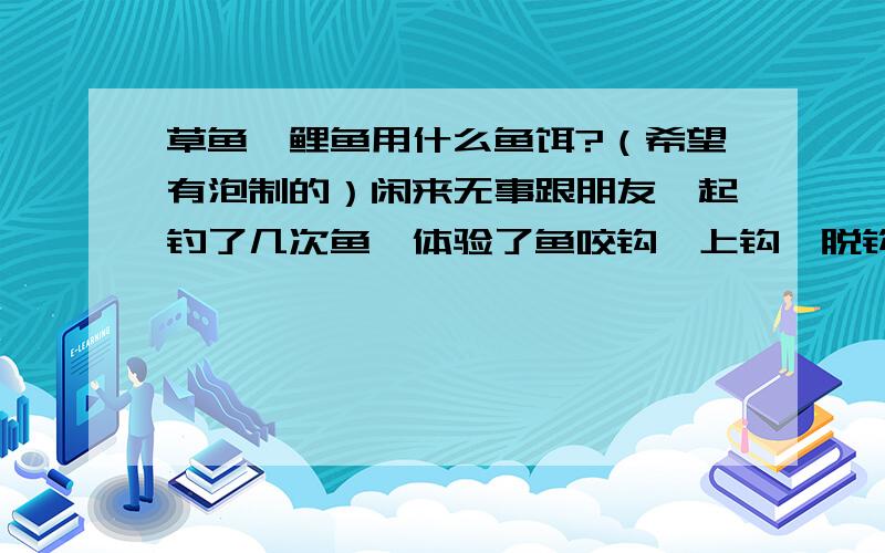 草鱼,鲤鱼用什么鱼饵?（希望有泡制的）闲来无事跟朋友一起钓了几次鱼,体验了鱼咬钩,上钩,脱钩的个中滋味,现在迷上钓鱼了~现在向各位高手请教草鱼跟鲤鱼用什么鱼饵最好（鱼塘）?打窝