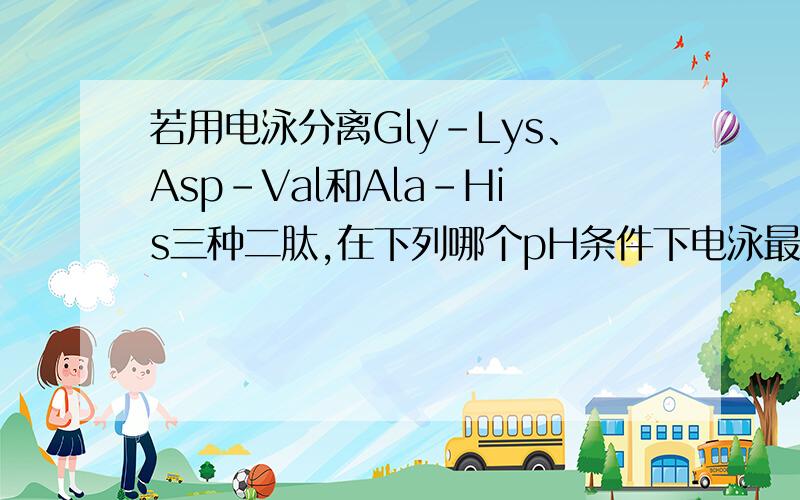 若用电泳分离Gly-Lys、Asp-Val和Ala-His三种二肽,在下列哪个pH条件下电泳最为合适?（ ）（A）.pH2以下（B）.pH2～4（C）.pH7～9（D）.pH10～12（E）.pH12以上这个题目我已经明白了三组二肽中为一酸二