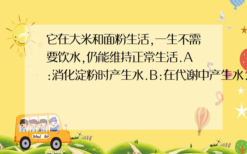 它在大米和面粉生活,一生不需要饮水,仍能维持正常生活.A:消化淀粉时产生水.B:在代谢中产生水.为什么不选A