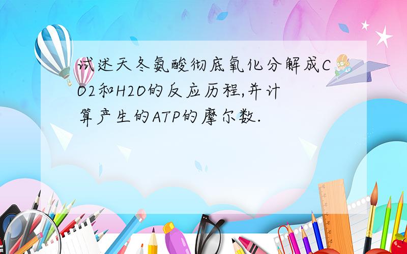 试述天冬氨酸彻底氧化分解成CO2和H2O的反应历程,并计算产生的ATP的摩尔数.